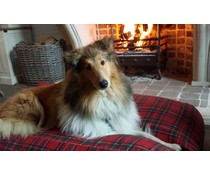 Dog's Companion® Dog bed Royal Stewart