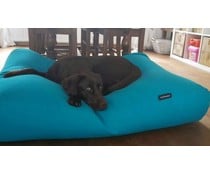 Dog's Companion® Dog bed Aqua Blue