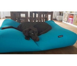 Dog's Companion® Dog bed Aqua Blue