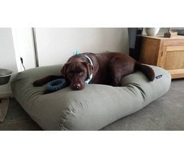 Dog's Companion® Dog bed Basalt