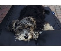 Dog's Companion® Dog bed black leather look