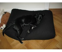 Dog's Companion® Dog bed Black