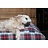 Dog's Companion® Dog bed Dress Stewart