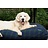 Dog's Companion® Dog bed Black Watch