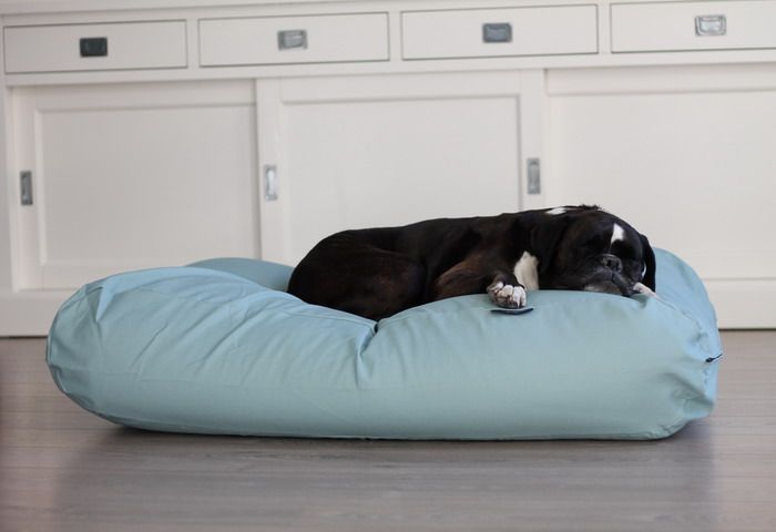 dog bag bed