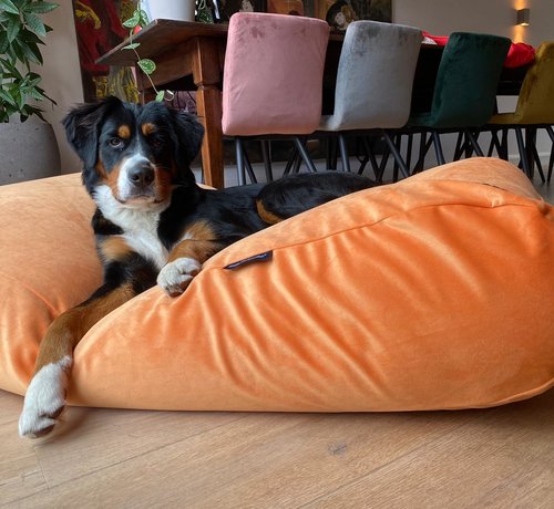 Dog's Companion® Hundebett Peach Samt