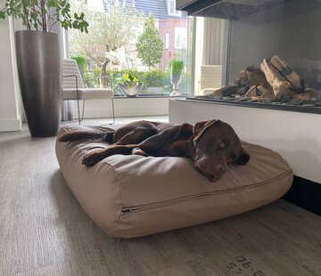 Dog's Companion® Hundebett Taupe Leather Look