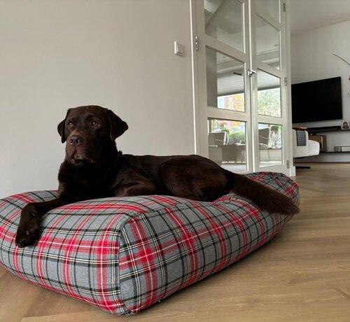 Dog's Companion® Hundebett Scottish Grau