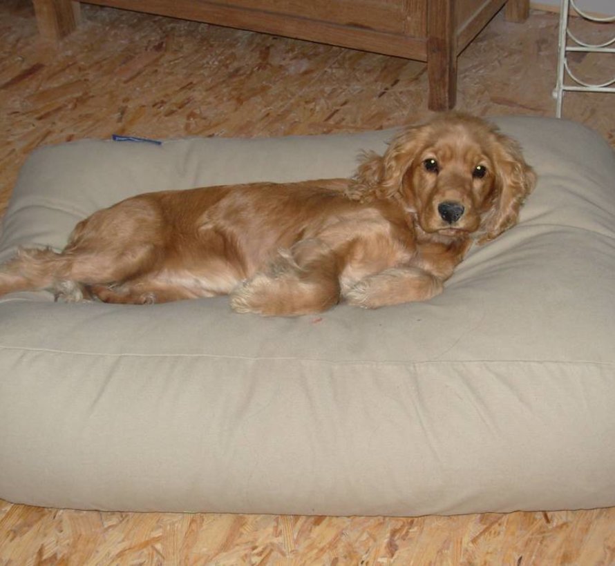 Hundebett Beige