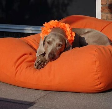 Dog's Companion® Hundebett Orange