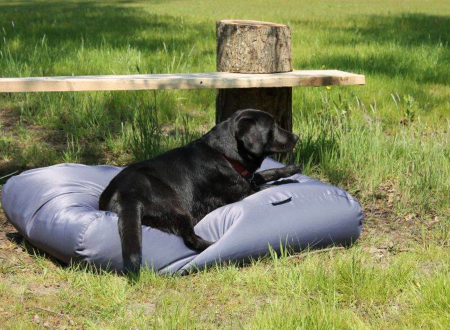 Hundebett Stahlgrau Beschichtet