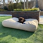 Hundebett Beige