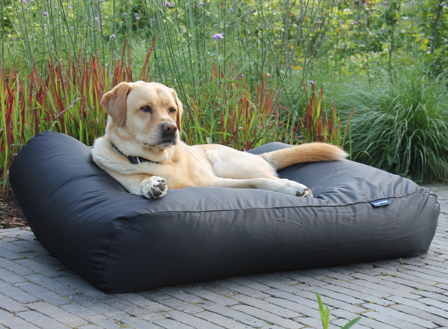 Hundebett Schwarz Beschichtet