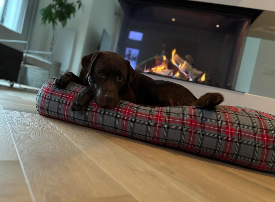 Hundebett Scottish Grau
