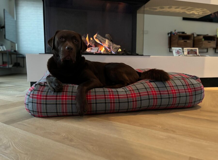 Hundebett Scottish Grau