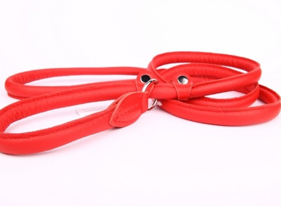 Leder-Retrieverleine 120 oder 180 cm (mit Doppelstopper)