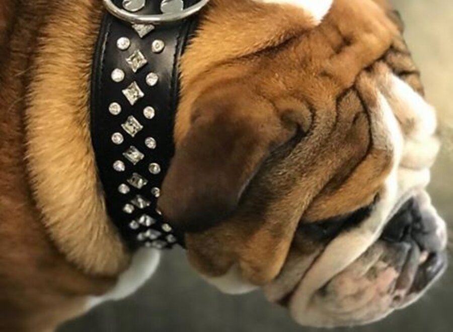 Lederhalsband mit Kristallen