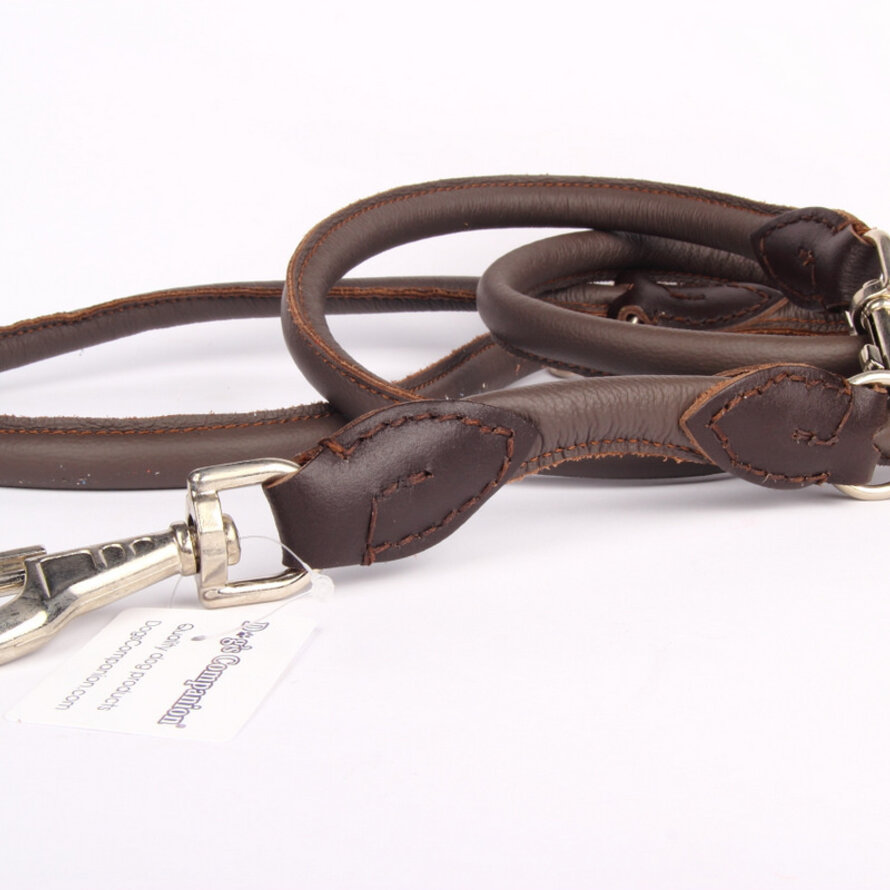 Hundeleine Leder