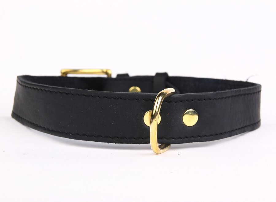 Einstellbare Lederhalsband exklusiven Gold