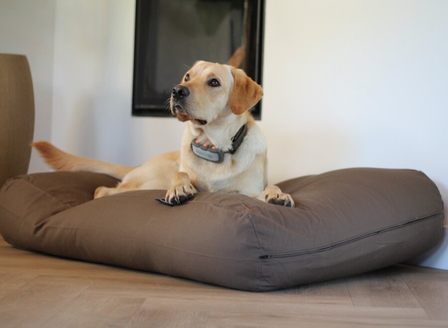 Hundebett Flieder/Braun