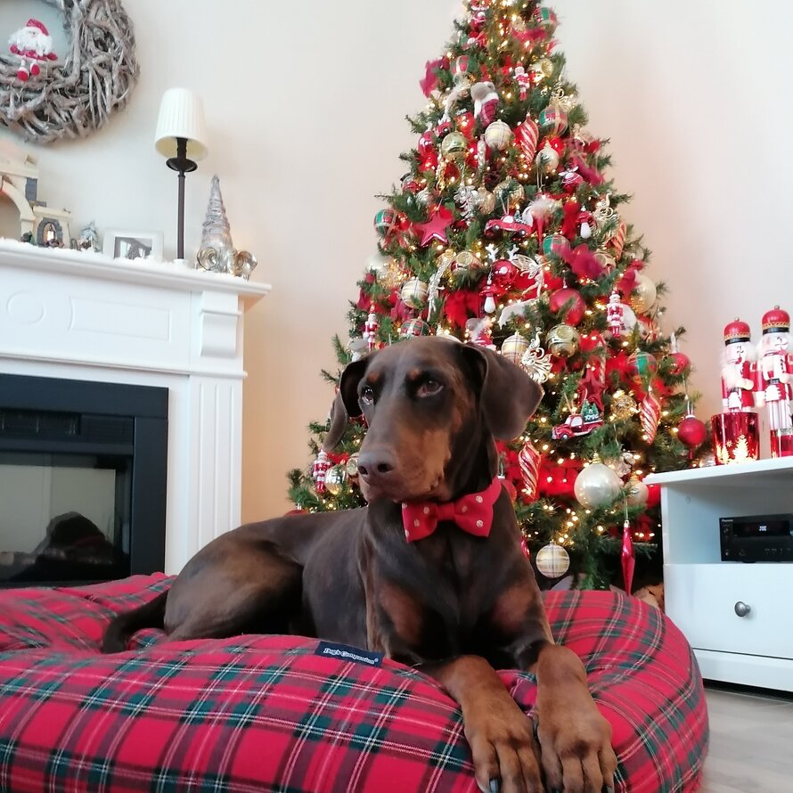 Weihnachtsinspiration