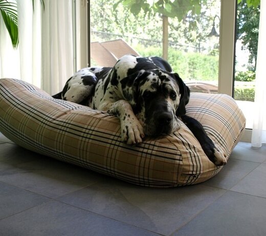 Superlarge & XXL Hundekissen. Geräumige, waschbare, langlebige und unterstützende Betten für große Hunderassen wie Deutsche Dogge, Bernhardiner, Rottweiler, Neufundländer und Rhodesian Ridgeback
