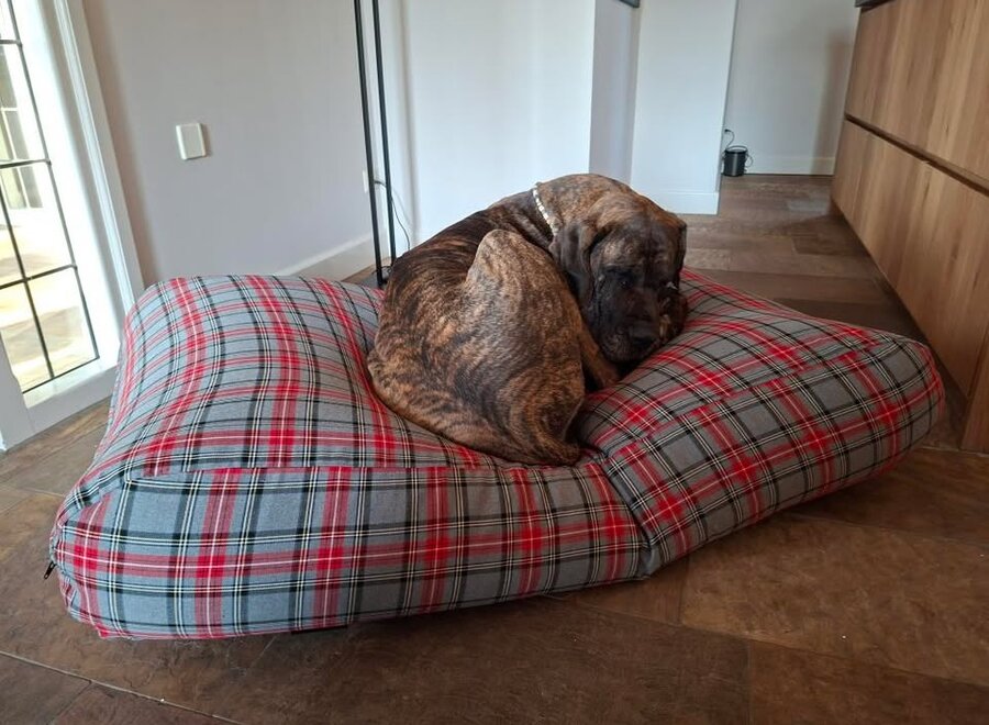 Hundebett Scottish Grau