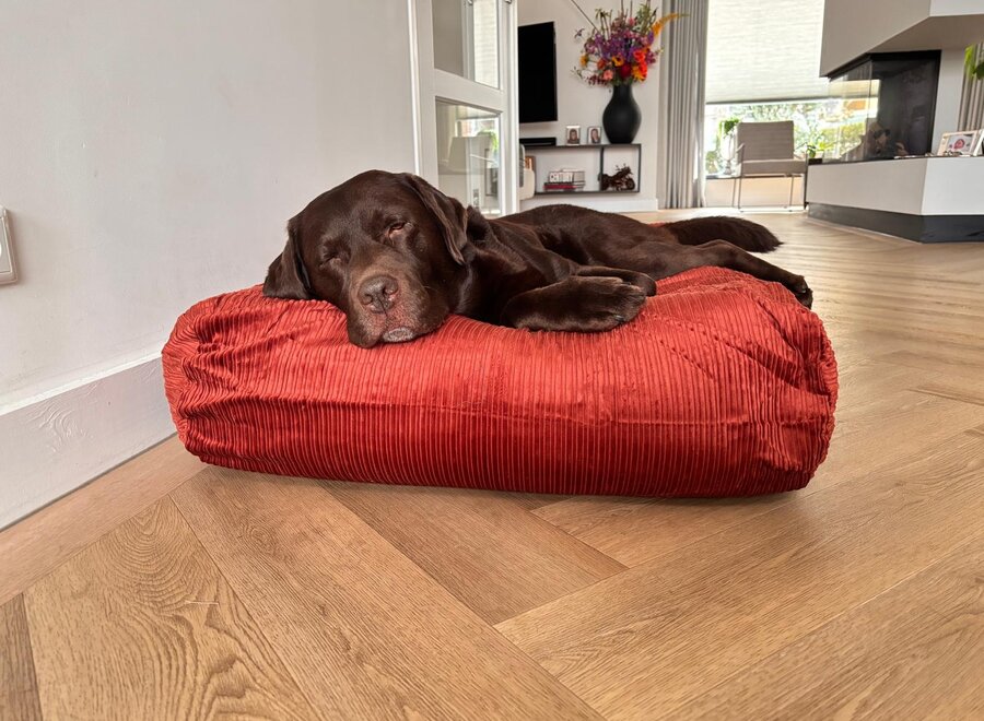 Hundebett Brique Doppelcord