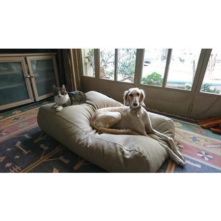 Dog's Companion® Lit pour chien Beige Large