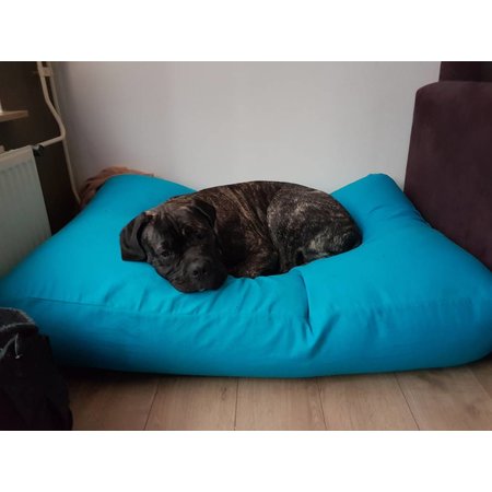 Dog's Companion® Lit pour chien Aqua bleu Large