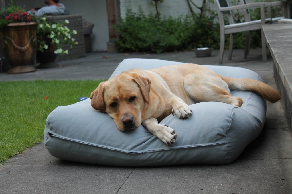 Panier Pour Chien/chien Donut à Capuchon - Taille M Gris 89x89x18cm, Moelleux, Antidérapant, Lavable