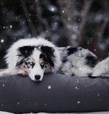 Dog's Companion® Lit pour chien Gris Granit Coton
