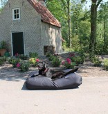 Dog's Companion® Lit pour chien Noir (coating) Large