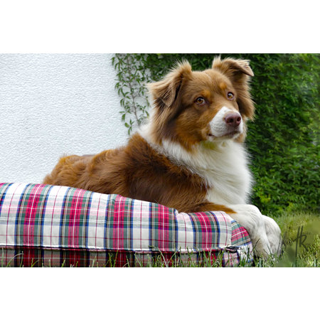 Dog's Companion® Lit pour chien Dress Stewart Medium