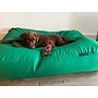 Lit pour chien vert printemps coating