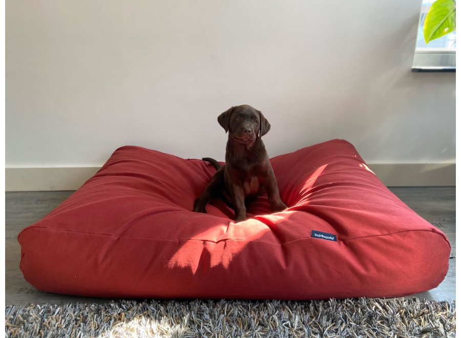 Lit pour chien rouge brique medium