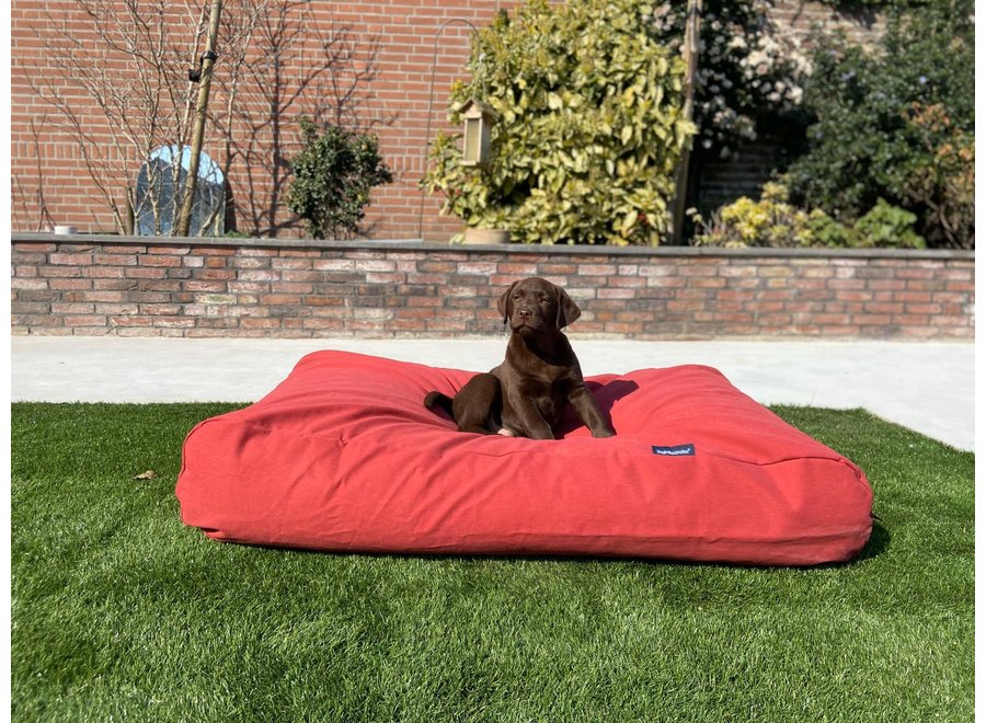 Lit pour chien rouge brique medium