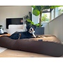 Lit pour grand chien chocolat small