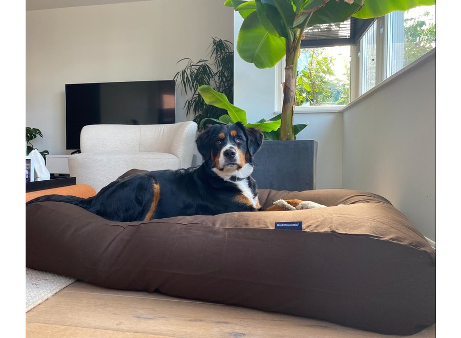Lit pour grand chien chocolat superlarge