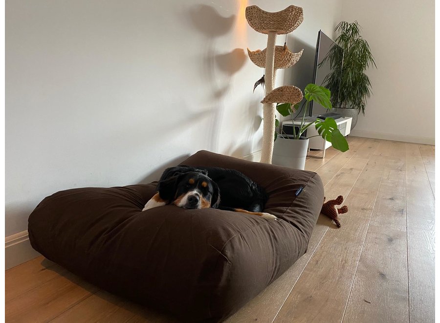 Lit pour grand chien chocolat superlarge