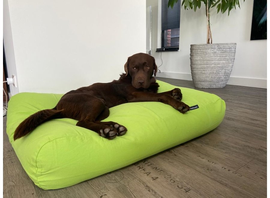 Lit pour chien lime