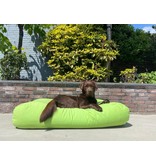 Dog's Companion® Lit pour chien Lime Medium