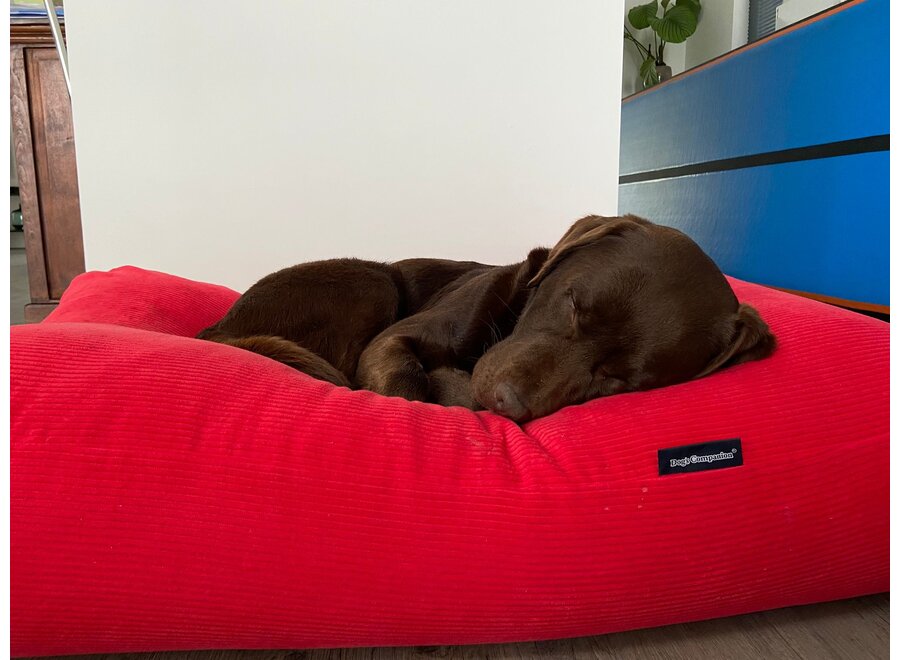 Lit pour chien rouge velours côtelé medium