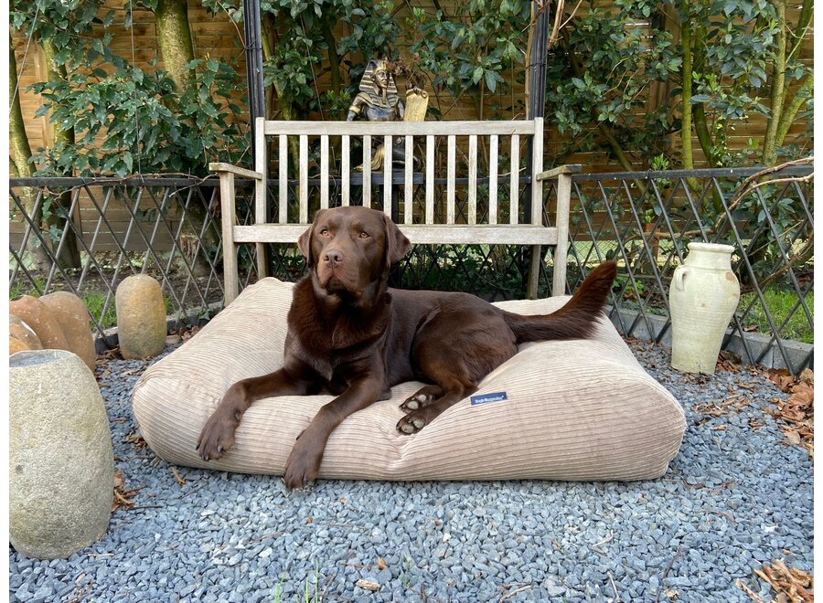 Lit pour chien foie double velours côtelé medium