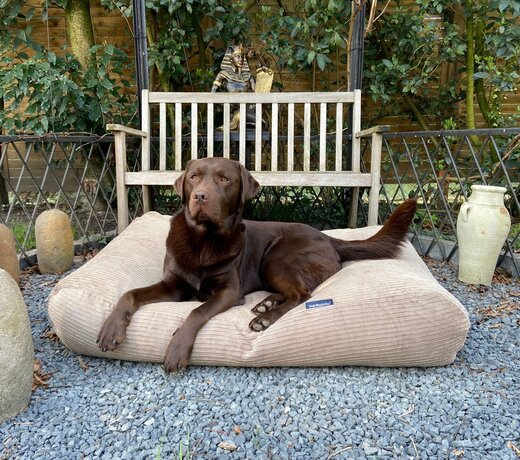 Lit pour chien double velours côtelé