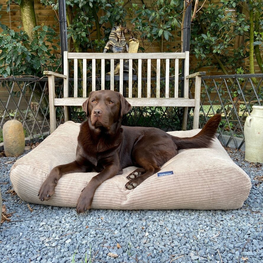 Lit pour chien double velours côtelé