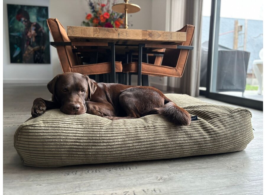 Lit pour chien olive giant velours côtelé medium