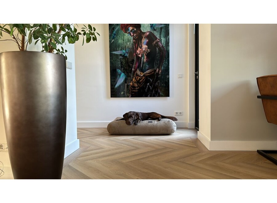 Lit pour chien foie double velours côtelé medium