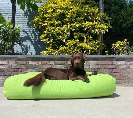 Large Lit pour chiens