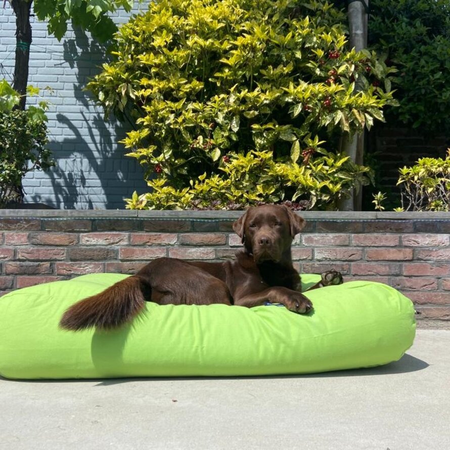  Superlarge Lit pour chiens